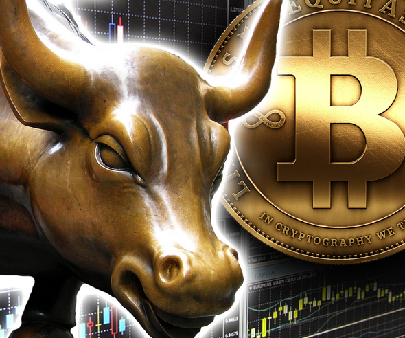 Crypto Bull : Crypto Bears and Crypto Bulls | The Who's Who in ... : As you shall see in this video, we are expecting a crypto bull market to come in the coming trading sessions.